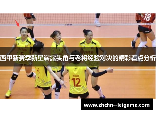 西甲新赛季新星崭露头角与老将经验对决的精彩看点分析